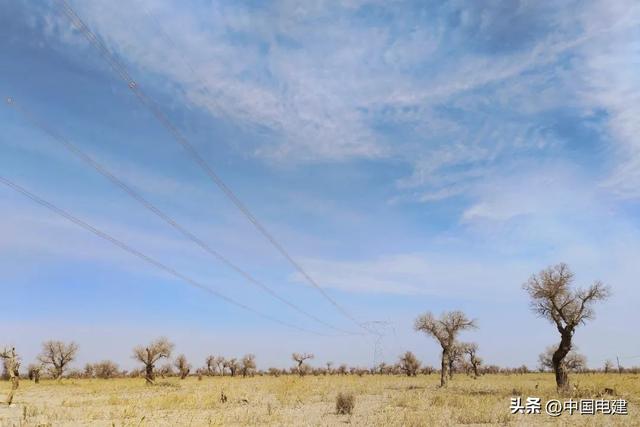 绘就“多彩新疆”锦绣画卷！打卡天山上的“电建足迹”