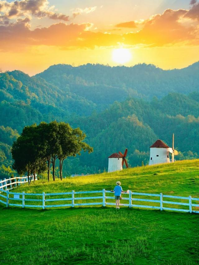 这个秋天，临安可太好玩了！