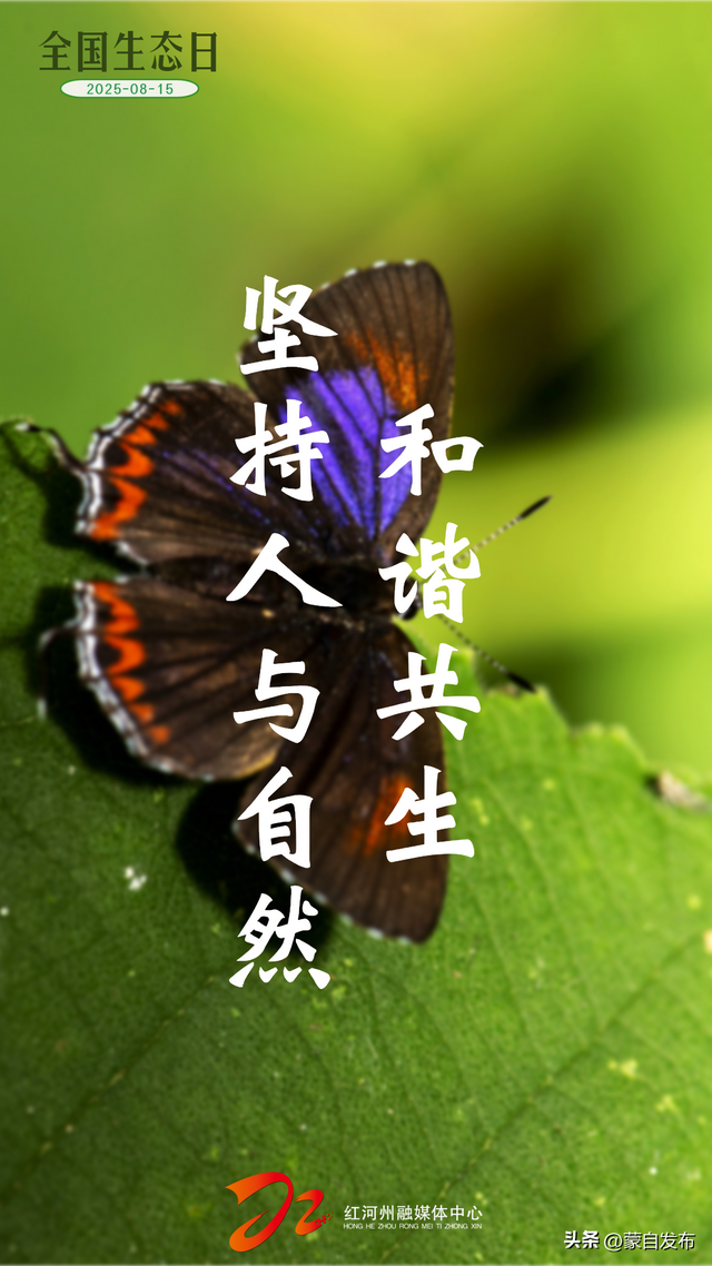 全国生态日｜“绿”满红河！每一幅都可以做你的屏保💚