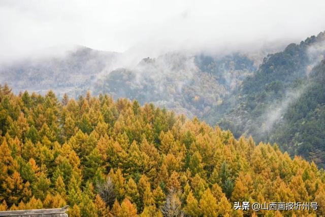 网络中国节·中秋丨当国庆红遇上中秋月：五台山景区双节喜迎八方客