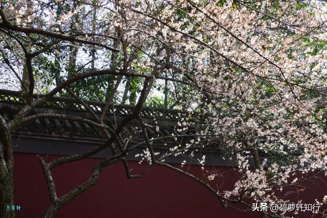 游杭州钱王祠:“钱塘自古繁华”由他开辟