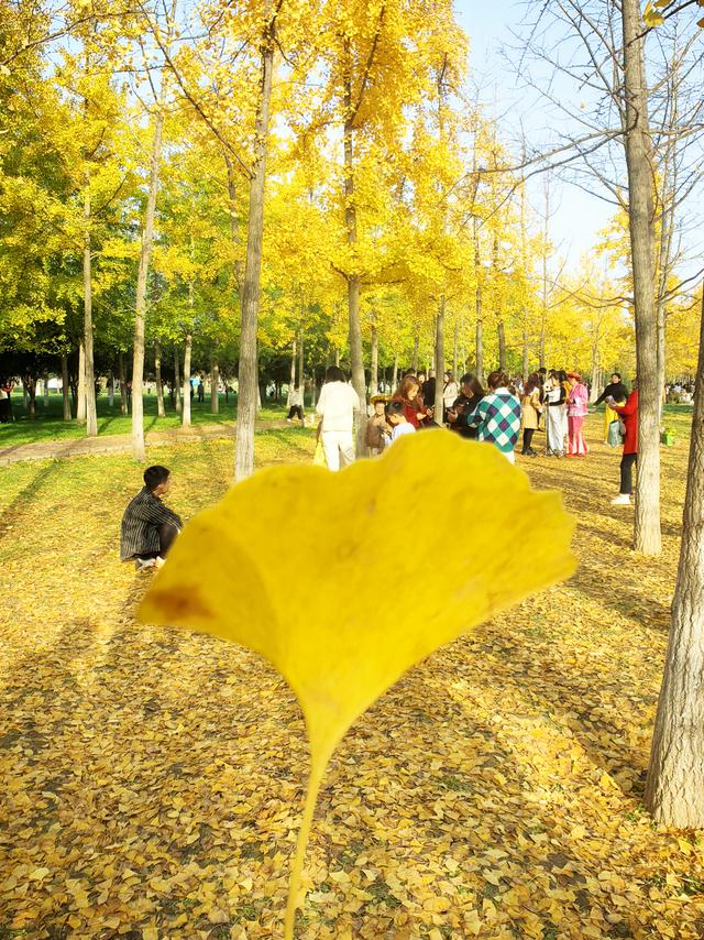 西安周末好去处——初冬8处宝藏公园免费又好玩！