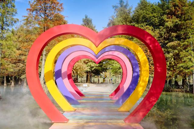 宿迁泗洪洪泽湖湿地，芦苇遍布，环境优美，一幅被秋天浸染的画卷