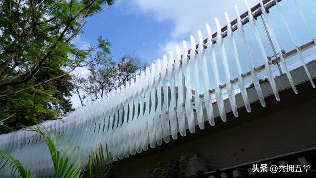 连通翠湖、昆明老街片区！翠湖城市绿道建成开放