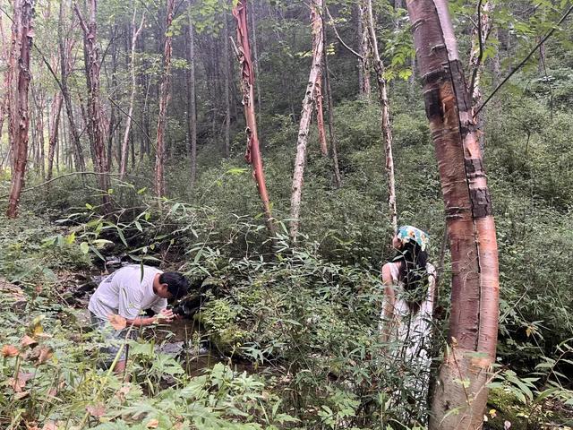 抖音大V 遇见礼县：百万级网络达人礼县寻根采风
