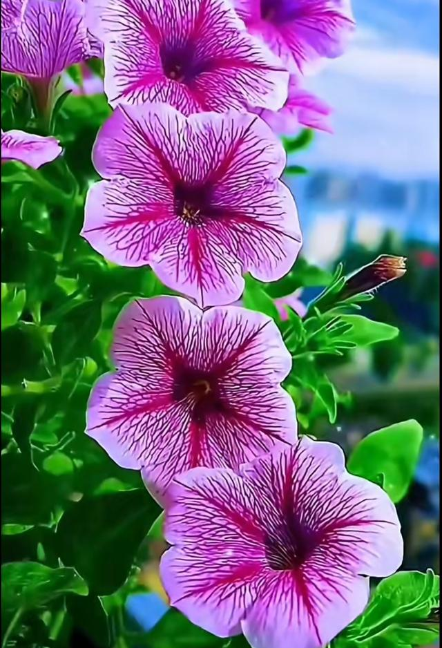 激发女人“兽性”！让她主动的三狠招，男人必学