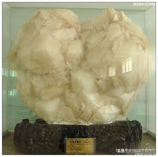 山东行游影记（31）—平邑天宇自然博物馆（六）