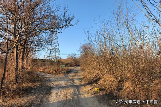 洛阳北邙山：寻访晋文帝崇阳陵