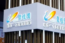 继恒大之后？中国房地产巨头（碧桂园）面临债权人清算申请图片