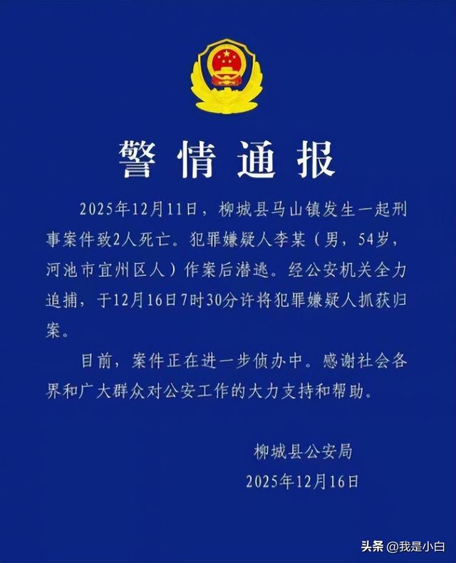 柳州悬赏追凶新进展：李某已被抓获，老太淋菜发现，村民透露更多