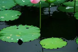 王阳明：心安了，烦恼就没了图片