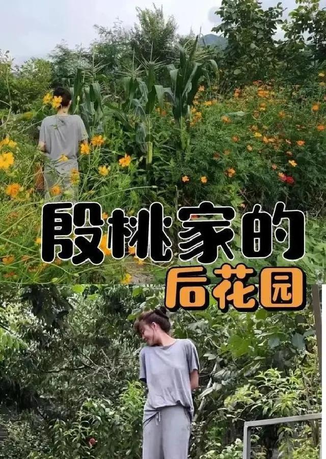 46岁殷桃的“豪宅”又火了，仅一院子就圈粉无数，那叫一个壮观！