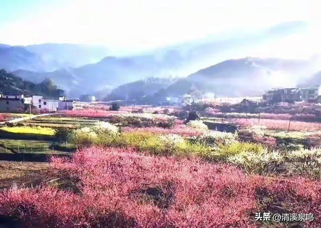 秋日访牙王庙古桥——廊河双虹记