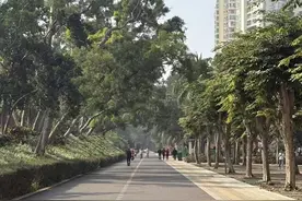 路更好走了、运动场地更多了、环境更好了，金牛岭公园焕新归来！图片