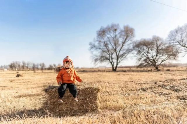 哇！赛汗塔拉里，好多好多“瑞士卷”