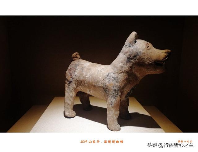 山东行游影记（157）—淄博博物馆（八）
