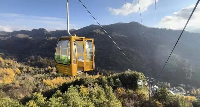 谁说秋天只有凋零？紫柏山两日游攻略来了！