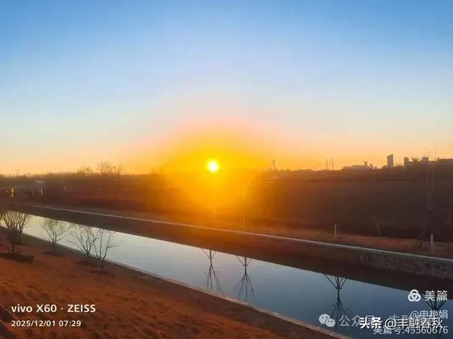 初冬北京朝阳坝河金盏淀:清寒里的静美画卷|申艳娟