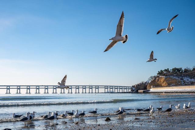大连最值得去的8个免费景点，好玩又好拍！想去大连旅游的有福了