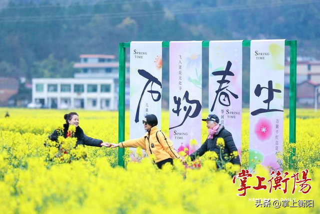 衡阳春日限定！收好这份踏青赏花打卡攻略~