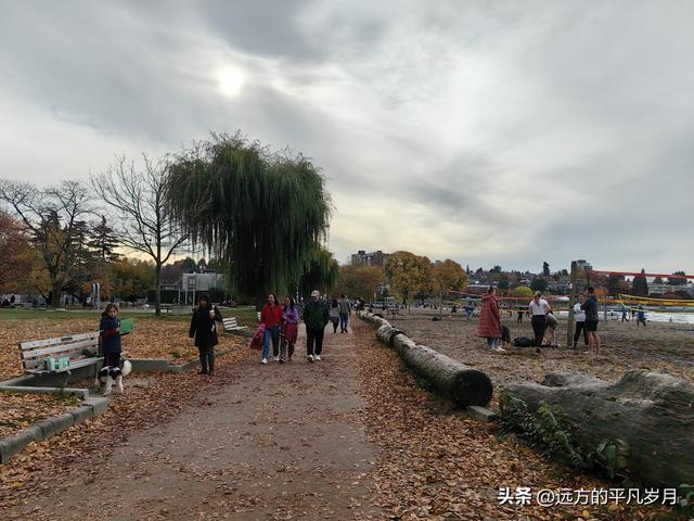 温哥华游记（五）