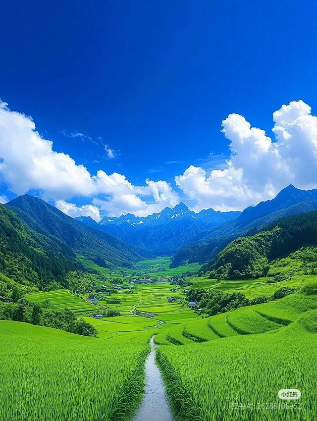 青山绿水风光旖旎