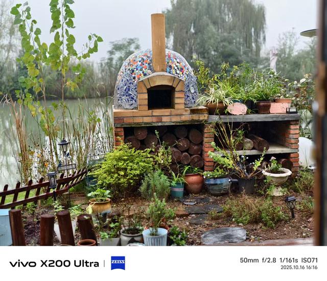 合肥蜀山区：雨中粉黛花、小岭南文化赋美、科大硅谷