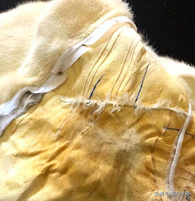 貂皮水洗退货后续：警方介入，宝妈身份被扒彻底社死 商家还有后手