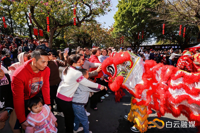灯会、花展与民俗齐飞！今年过年，就到白云山风景名胜区