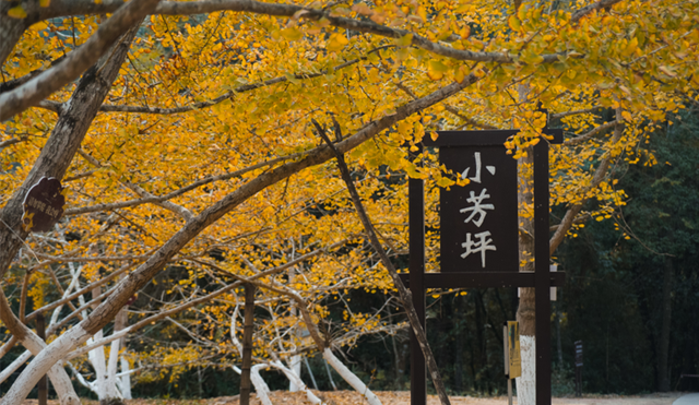 别卷作业了，卷卷大自然！韶关秋日研学，让娃成为朋友圈最酷的崽