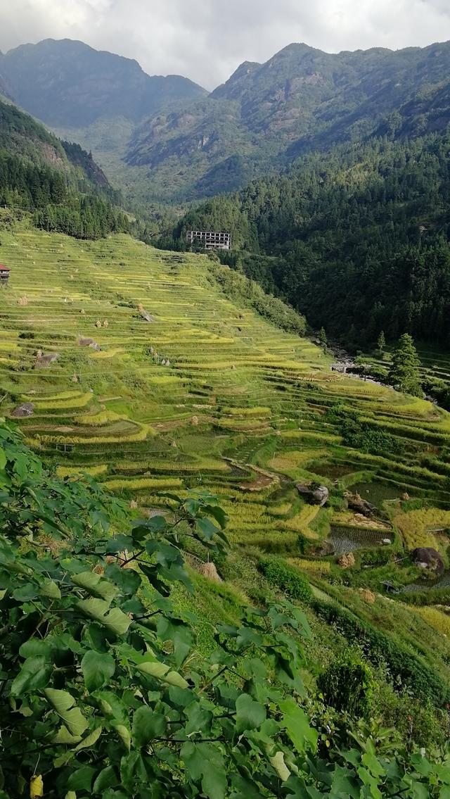 柳州周边小众景点（元宝村、小桑村、青山寨、培秀村、冬竹山）