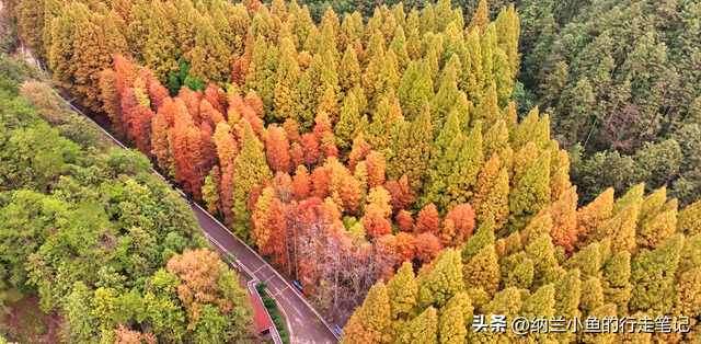 后悔现在才去！这座湖南与贵州交界处的小城，后劲太大了！