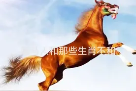 "生肖冲突大揭秘：属马遇到哪些生肖成为克星？"图片