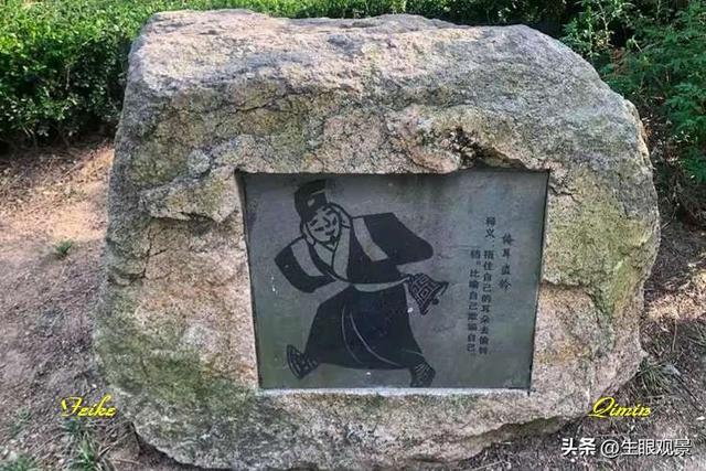 影记 | 青岛李沧文化公园掠影