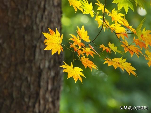 明日立秋，今年立秋不一般，立秋后还要热多久？有“秋老虎”吗？