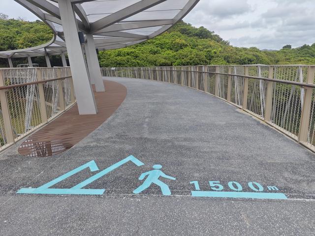 西丽湖国际科教城绿道高清随拍