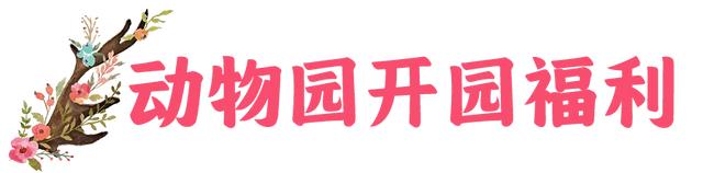 马里冷旧惊现萌宠？黑竹沟彝人牧场小憩营地+驼语小筑+鹿町花阶+矮驹巷陌+绵毛小驿…现已开园，门票免费送！