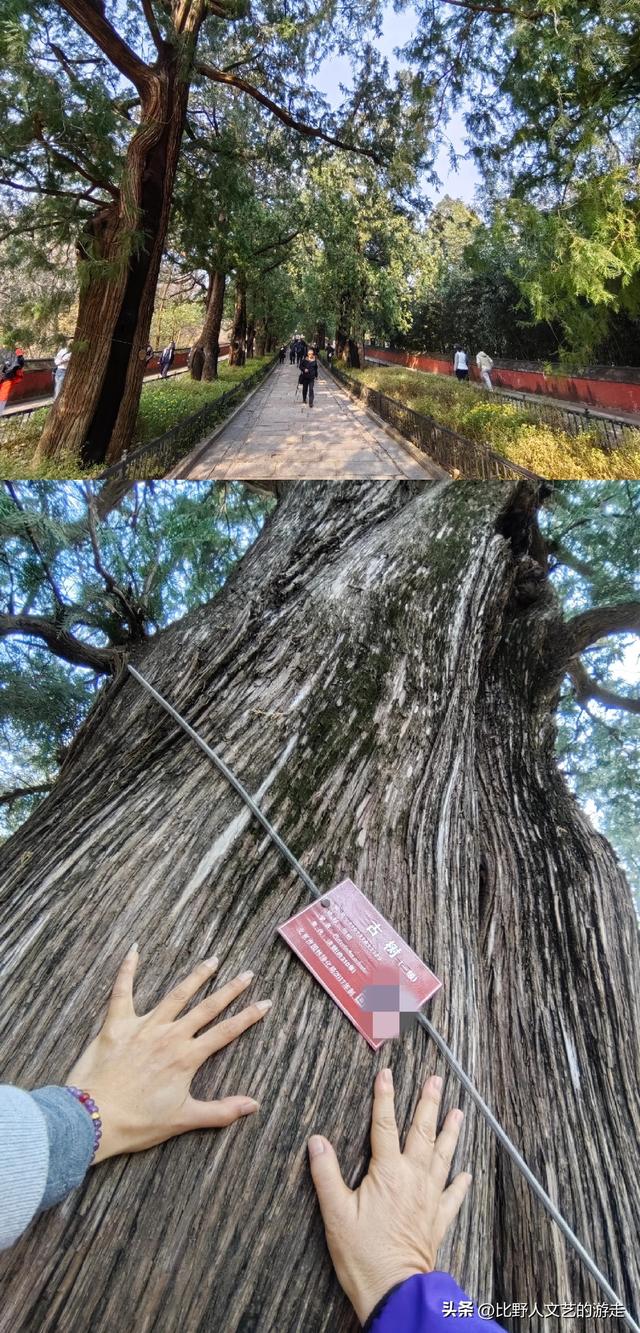 北京：焦糖色的秋日正当时，还有美味素食+直达专列，走啦！