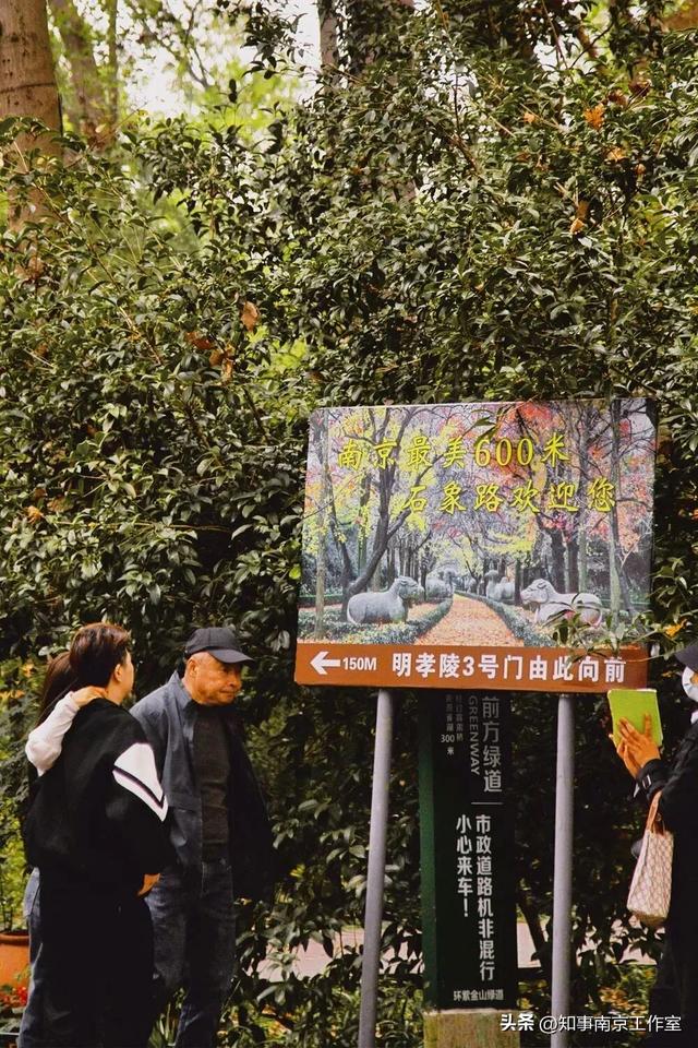 这块南京顶流打卡地居然变成这样了？