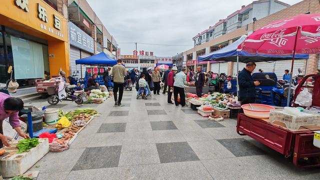 山西深度游—五寨荷叶坪