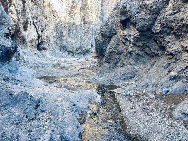 党建引航新长征 团建聚力铸铁军—吴忠文旅公司活化生态资源践初心