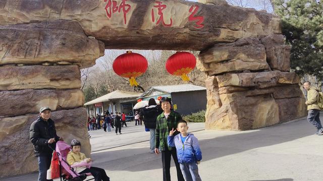 反向过年|带爸妈逛动物园:我读懂了他们“怕花钱”背后的温柔