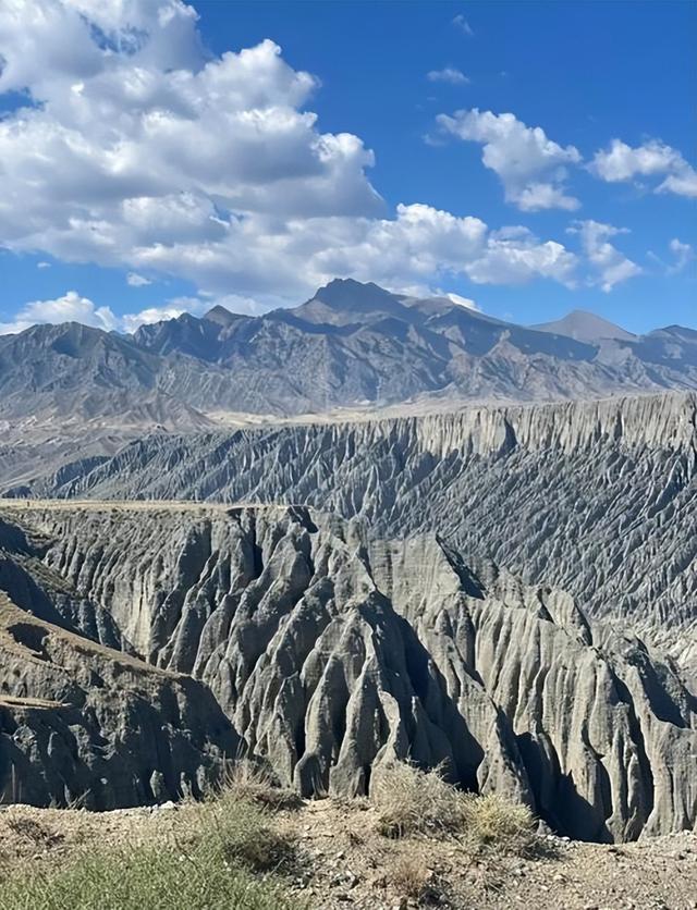 伊犁河谷有多特别？中国这边是绿洲，哈萨克斯坦那边是荒漠
