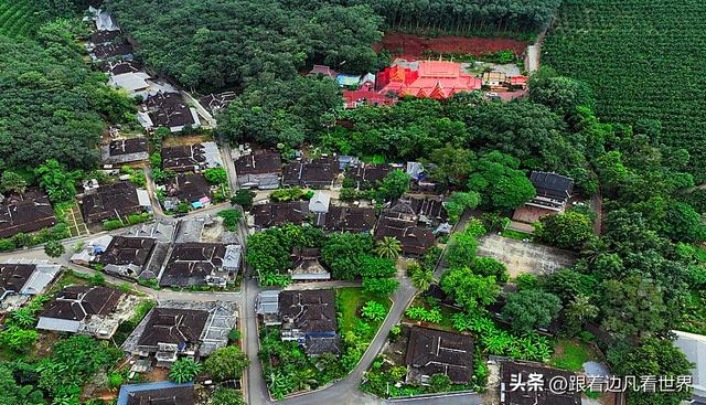 《西双版纳 澜沧行》雨林深处的傣家秘境 —— 西双版纳曼远村记行