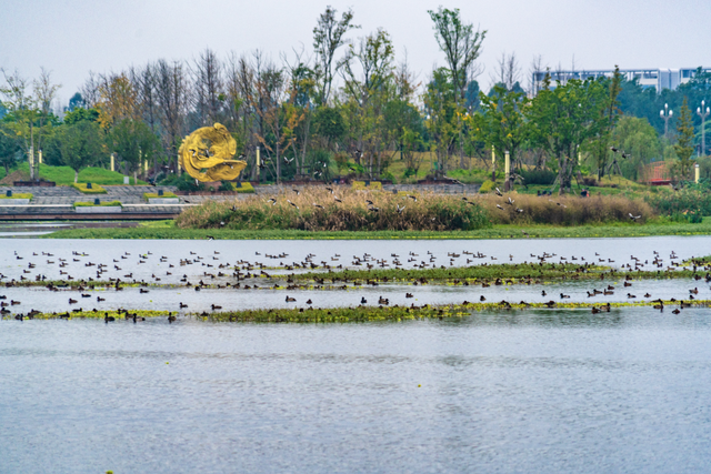 冬崃｜阳光与候鸟齐飞！泉水湖给你双重惊喜～