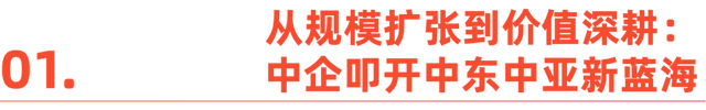 同行者说：驶向中东中亚蓝海，我们与华为云的这一年