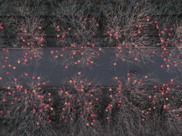 实拍!洛阳新春灯会来了!超多惊喜