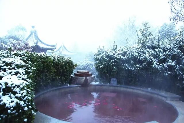 腊八启年味，粥香漫沂蒙！临沂腊八粥暖透八方客