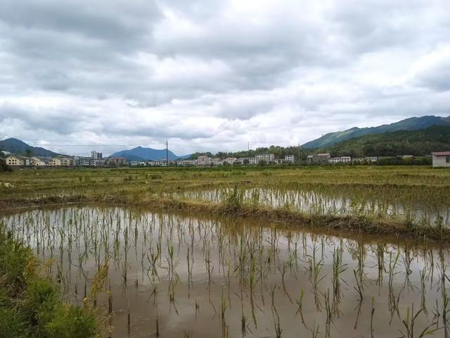 浏河滚滚欲留春，独向芳踪觅雅意——徒步小溪河散记（十一）