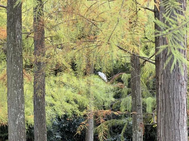 这个“名牌加身”的西南山城，正适合淡季来玩！